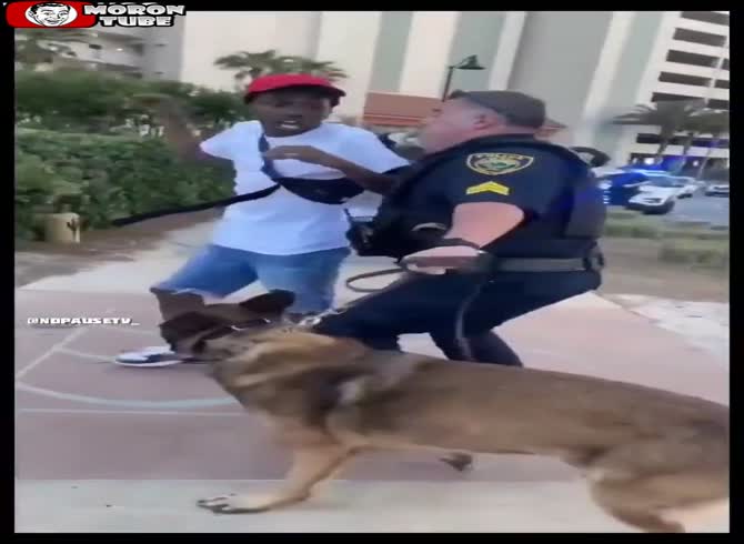 Video :A police officer's dog attacked him during a tumultuous arrest